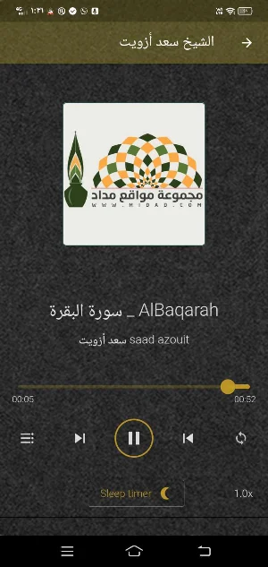 سعد ازويت MP3 قران بدون نت Screenshot 3
