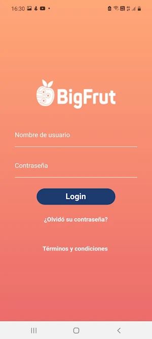 Bigfrut Screenshot 1