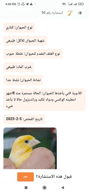 Birdy Consults Screenshot 1