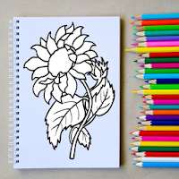 How to Sketch Flowers Step by Step