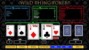 Wild Thing Poker Screenshot 2