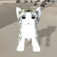 CatSimulatorOffice