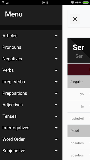 Spanish Grammar Screenshot 1