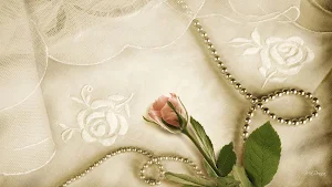 Vintage Wallpapers Screenshot 0