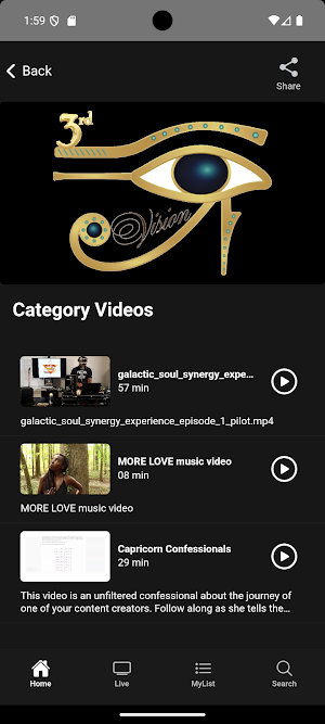 3rd iVision Network Screenshot 2