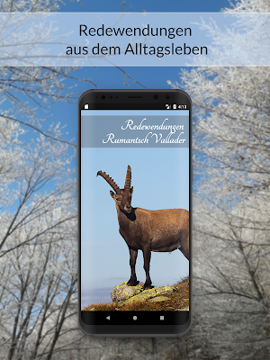 Redewendungen Rumantsch Vallader Screenshot 0