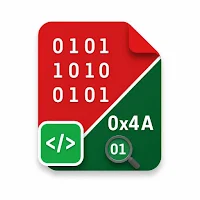 Bin File Viewer