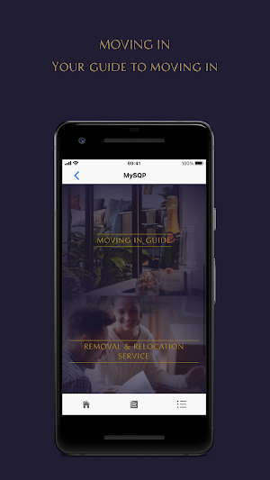 MySQP Screenshot 2