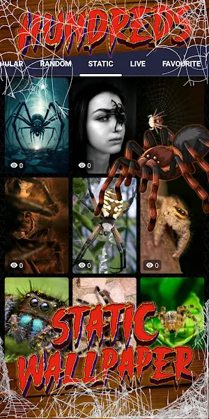 spider wallpaper Screenshot 3