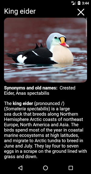 Birds of North America: Songs, Calls & Decoys Screenshot 3