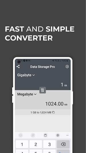 Data Storage Convert Mb to Gb Screenshot 0