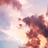 Vivid Wallpaper