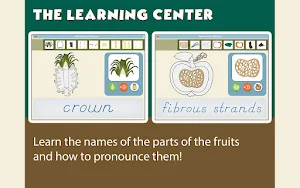 Montessori Botany - Parts of Fruits Screenshot 1