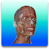 KFU AR Anatomy