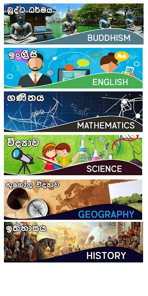 Vibhawa Online Papers Screenshot 2