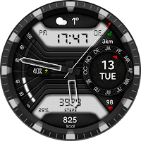 Hybrid Miltime Watch face