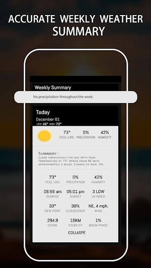 Weather Forecast & Temperature Screenshot 3