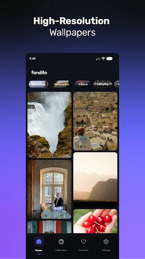 Fondito Wallpapers Screenshot 0