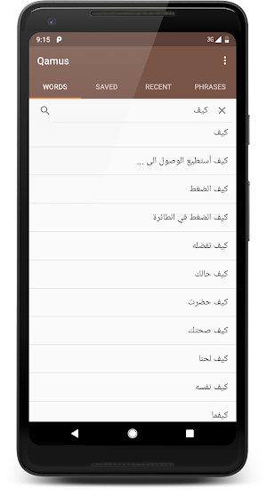Qamussi قاموسي - Offline Arabi Screenshot 1