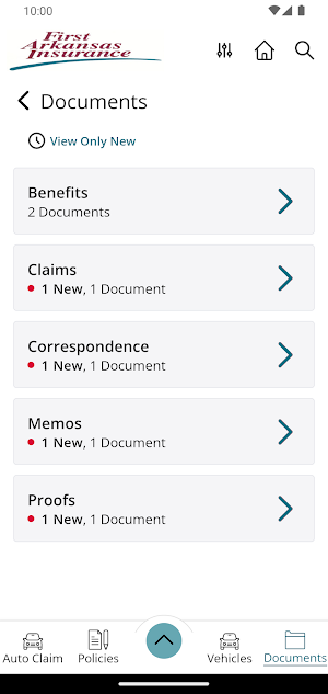 First Arkansas Insurance Screenshot 2