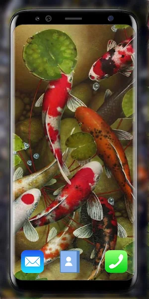 Koi Fish Live Wallpaper 3D Screenshot 2