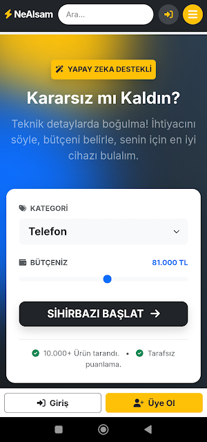 NeAlsam Screenshot 2