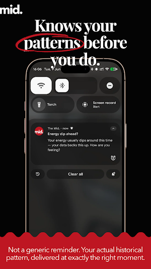 mid. - Productivity & Energy Screenshot 2