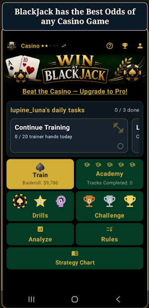 Win at Blackjack Screenshot 0