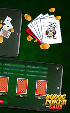 Bodog Poker Game Screenshot 2