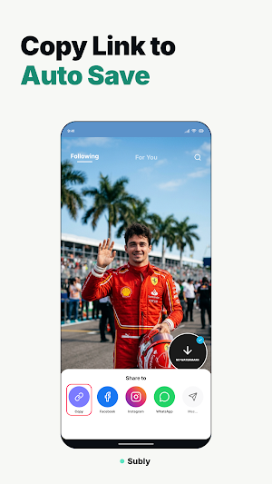 Subly: Video & Story Saver Screenshot 2