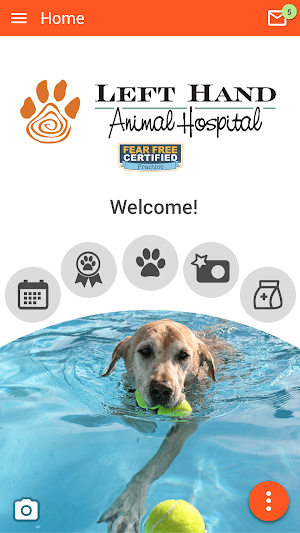 Left Hand Animal Hospital Screenshot 0