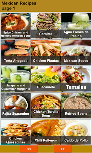 Mexican Recipes Screenshot 0