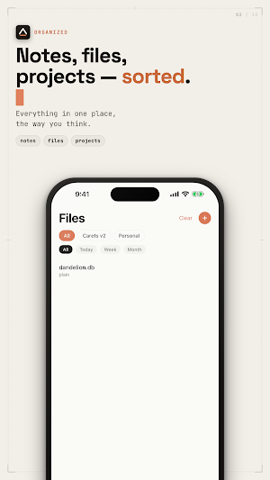 Carets - Code Editor Screenshot 1
