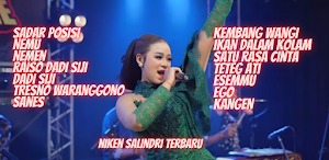 Niken Salindry Cover Screenshot 0