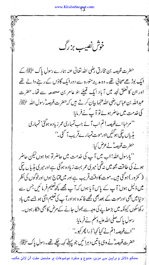 یمن کا سورما اور دوسری کہانیاں Screenshot 1