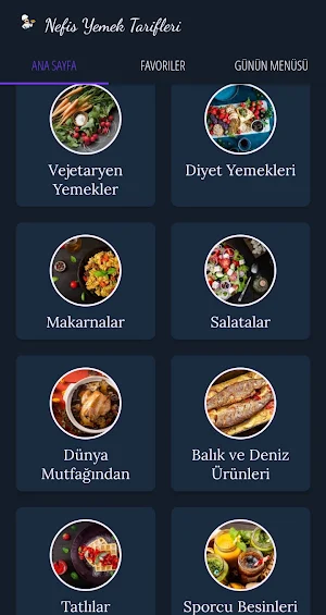 Nefis Yemek Tarifleri Screenshot 0