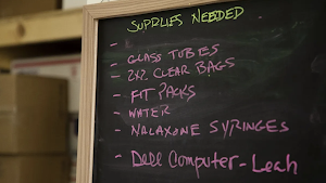 Harm Reduction Sisters Screenshot 3