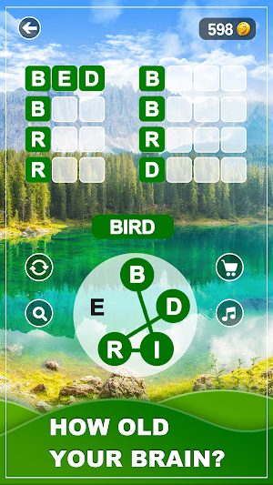 Word Vista Screenshot 0