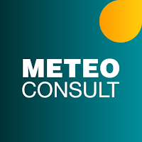 METEO CONSULT
