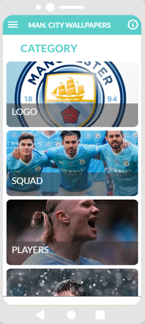 Manchester City HD Wallpapers Screenshot 0
