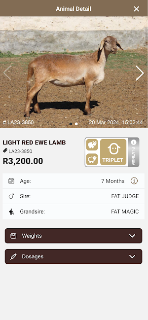 LANDRANI® Meatmasters Screenshot 2