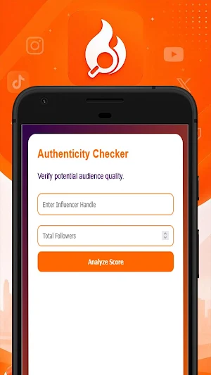 HypeAuditor App Workflow Screenshot 2