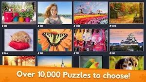 Jigsaw World Screenshot 1