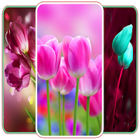 Flower Live Wallpaper
