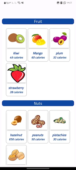 Health Care Screenshot 0