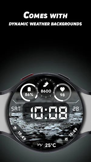 Weather Dial - Watch face Screenshot 1