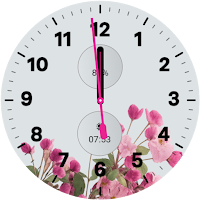 Spring Time Watch Face