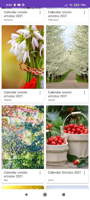 Calendar Creştin Ortodox Screenshot 3