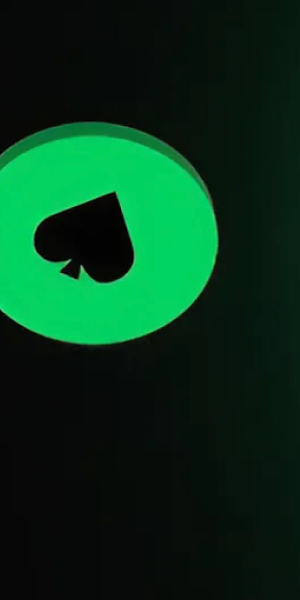 Bplay Screenshot 0