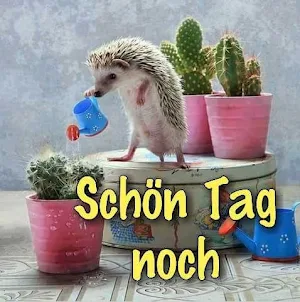 Schönen Tag Bilder 2023 Screenshot 1